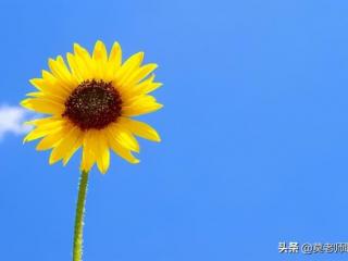 发现老婆出轨该怎么办（发现妻子出轨怎么办）