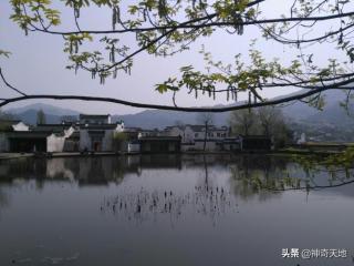 孽缘是前世注定（我找到了前世的缘分而执意离婚）