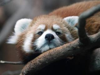 男生看前任空间的心理（分手后偷偷关注前任动态）