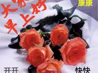 期望越大失望越大的说说（期望的越高失望越深）