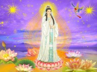 生日二月十九观音命（农历二月十九观音诞）