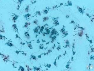 权力的游戏夜王（夜王弱点有哪些怎么死的）