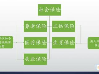 社保中断有什么影响（社保断缴有六个方面的影响）