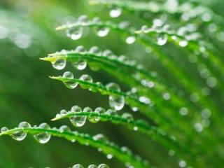 春天的雨是什么（带你邂逅时光里的春天）