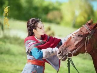 东宫人物关系图（再看东宫四人感情线）