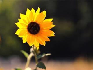 分手的话该怎么说（分手时发的伤感说说）