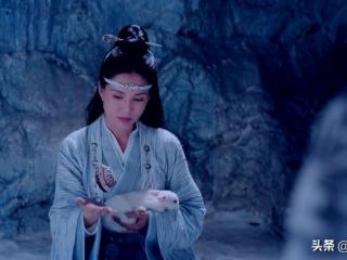 阴虎符是阴铁吗（阴铁和阴虎符相关剧情的遗憾之处）