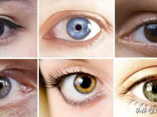 琥珀色眼睛与棕色对比（人类最罕见的眼睛颜色是什么）