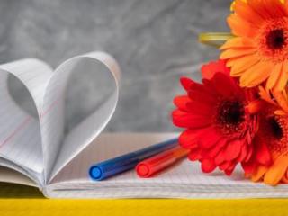 陈凯歌为什么不娶倪萍（陈凯歌为什么不选倪萍）