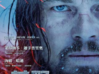 荒野猎人影评（广袤荒野中的人性徘徊与文明反思）