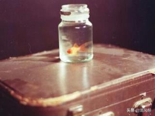 结婚幸福感言（结婚晒幸福的简短文字说说）