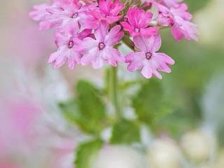 烦躁的个性签名（心累心烦的心情签名）