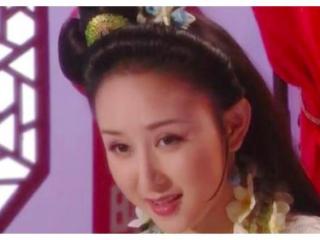 胡静的电视剧（胡静早期参演的12部剧）