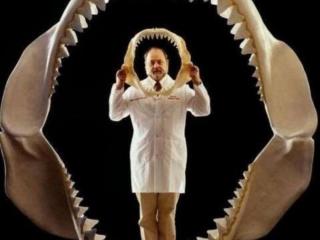巨齿鲨生死谜（40吨重的巨齿鲨生死谜）