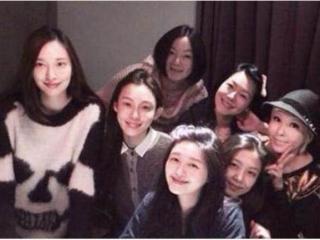 台湾七仙女成员（七仙女姐妹团各女星青涩照）