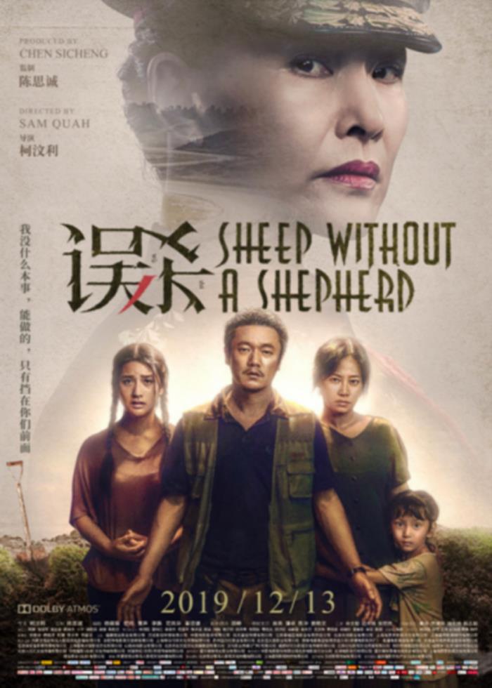 误杀瞒天记评价误杀瞒天记剧情分析