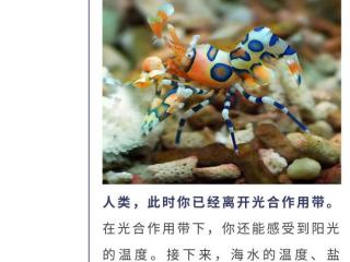 我的世界真奇妙（原来我的世界如此奇妙~）