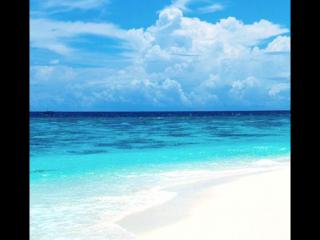 抑郁患者感觉不到情感（吃抗抑郁药也有无助感）