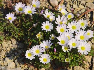 一个男人叫你离婚他娶你（我离婚就是为了娶你）