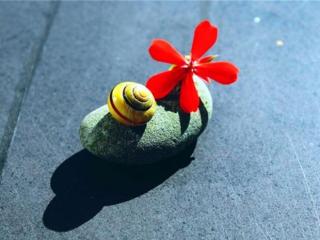 发朋友圈看透人心短语（看透人生的经典句子）