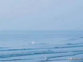 我决定要彻底放手了的说说（彻底死心放弃的悲伤说说）