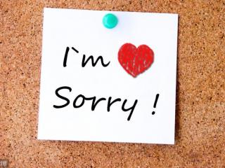夫妻之间道歉什么方式最好（都懂这5种道歉方式）