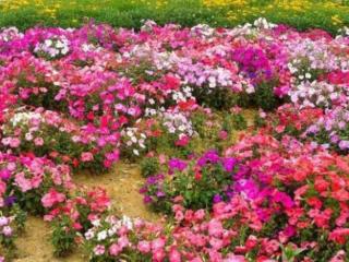 免费测这辈子有几次婚姻（测你今生会有几次婚姻）