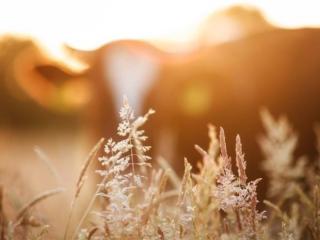 心凉了发朋友圈的句子（朋友圈心灰意冷的句子）