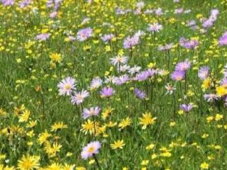 免费算命何时发财（测你什么时候会发财）