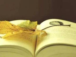 年纪轻轻思想境界很高（年纪轻轻思想深度却远高于常人）