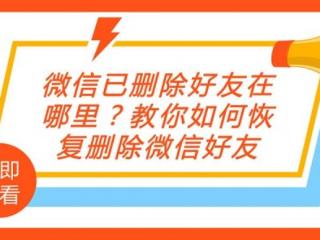 如何找回微信删除的好友（微信已删除好友在哪里）