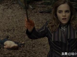 巫师咒语大全 慎用（巫师们在黑魔法防御课上）