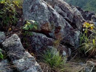 男人在女人面前诉苦心理，一个人愿意跟你诉苦