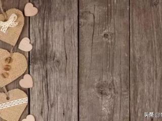 不要打扰一个对你冷淡人（请不要打扰一个不理你的人）