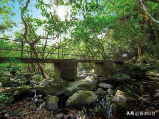 香港新娘潭（新娘潭自然教育径）