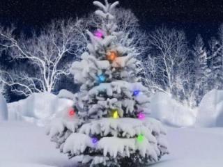 平安夜祝福语怎么写（平安夜简短霸气的祝福语）