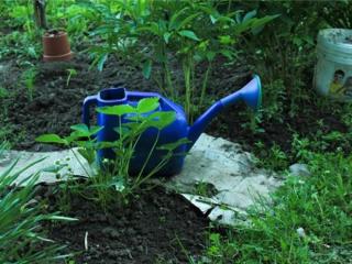 给女朋友的一句话简短（跟女朋友说的简短情话）