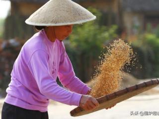 十个簸箕的女人命运（十个簸箕乞丐走啥意思）