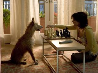 挽回婚姻的情感专家真的靠谱吗，31名情感挽回大师被抓