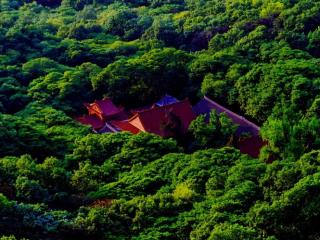 安徽巨蟒渡劫事件真假（安徽山林巨蟒渡劫）