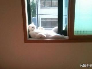 搞笑对话段子一问一答（经典搞笑对话段子大全100个）