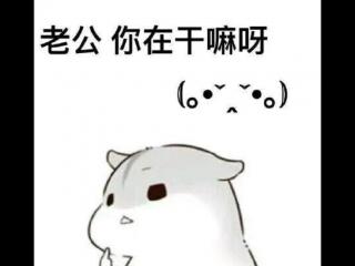 逗老公开心的幽默图片（哄老公开心表情包20张）