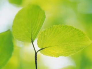 水瓶座吃醋的表现，水瓶座吃醋会有什么表现