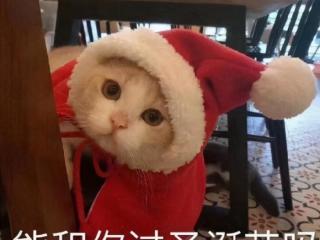 圣诞节朋友圈可爱文案（过圣诞节怎么发朋友圈文案）