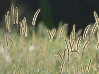 天蝎男不喜欢一个女生的表现，天蝎男喜欢一个人的表现