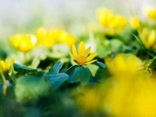 水瓶座的爱情观是什么，水瓶座的爱情观是怎样的