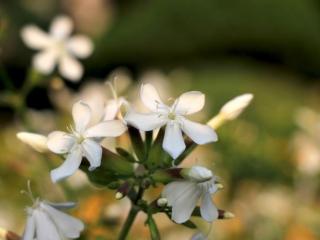 天蝎女生吃醋后果（十二星座吃醋之后）