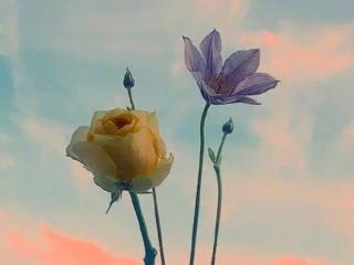 忘记一个人最好的方法（忘掉一个男人最好方法是什么）