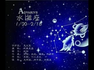水瓶座是什么样的人（高段位的水瓶座到底是什么样的）