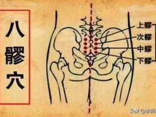 五脏六腑位置图（五脏六腑气血之次髎穴）